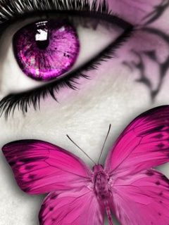 Pink Butterfly