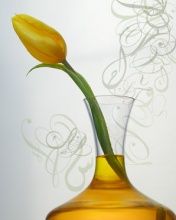 Tulip