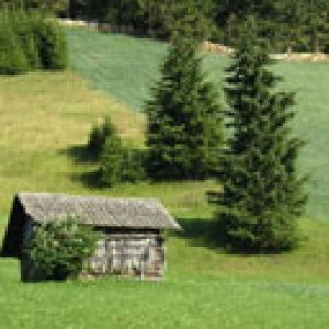 Tirol