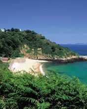 Guernsey