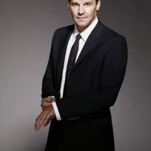 David Boreanaz