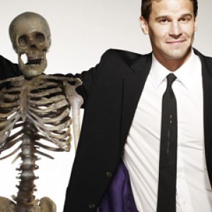 David Boreanaz