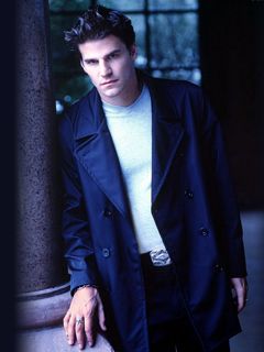 David Boreanaz