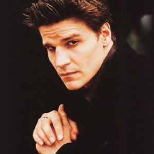 David Boreanaz