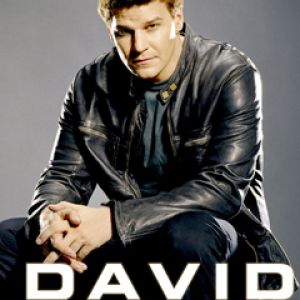 David Boreanaz