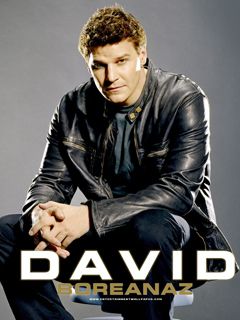 David Boreanaz