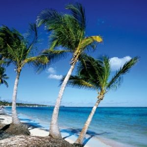 Punta Cana