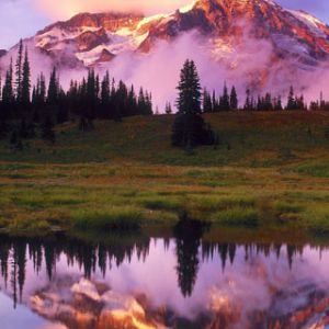 Mount Rainier National Park - Washington - USA