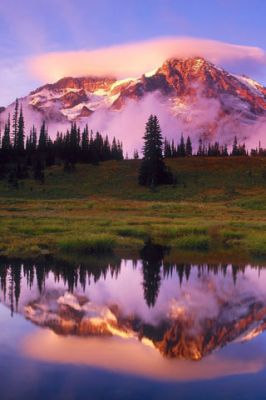 Mount Rainier National Park - Washington - USA