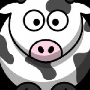 Cute Cow