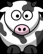 Cute Cow