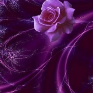 Purple Rose