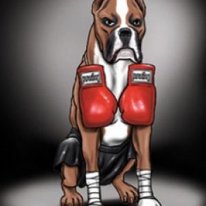 Boxer