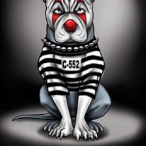 Clown Pitty