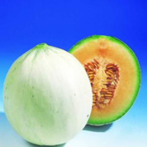 Melon