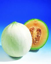 Melon