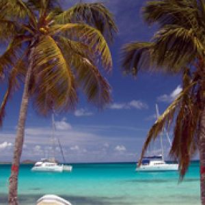 Tobago Cays Beach