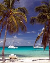 Tobago Cays Beach