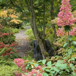 Bellevue Botanical Garden - Washington