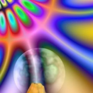 Trip