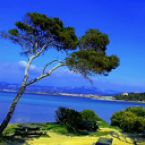Cote - D Azur 