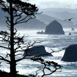 Ecola Point - Oregon Coast