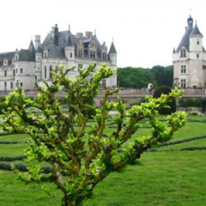 ChĂ˘teau de Chenonceau Val de Loire