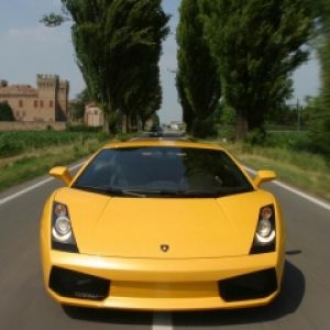 Gallardo