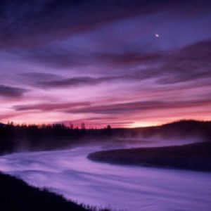 Madison River - Yellowstone National Park - Wyomin