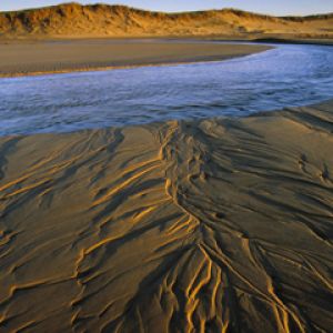 Dalvay Pond Outflow - Dalvay Beach