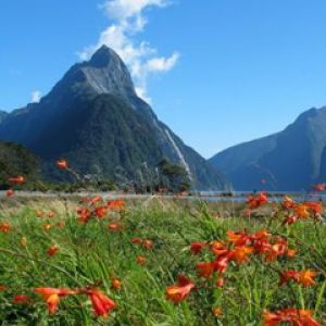 Mitre Peak Milford Sound - New Zealand