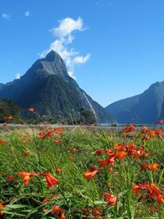 Mitre Peak Milford Sound - New Zealand