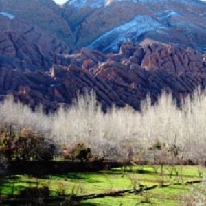 Dades Valley with Monkey Fingers - El Goumt