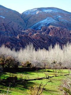 Dades Valley with Monkey Fingers - El Goumt