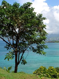 Grenada