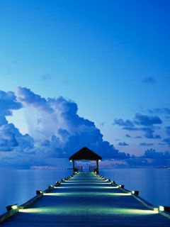 Maldives dock