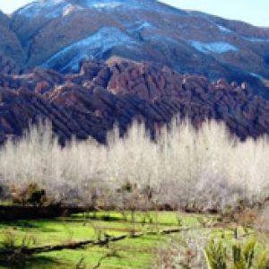 Dades Valley with Monkey Fingers - El Goumt