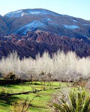 Dades Valley with Monkey Fingers - El Goumt