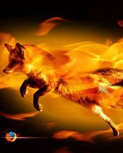 FireFox 