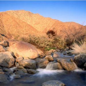 Palm Canyon Creek - Borrego Palm Canyon