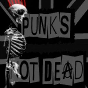 Punks not Dead