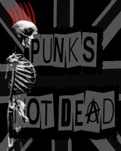 Punks not Dead