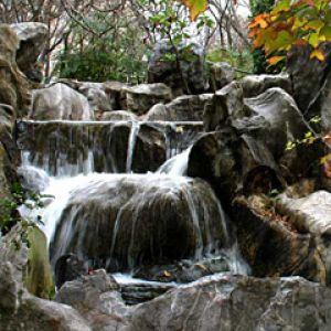 Chinese Garden - Sydney