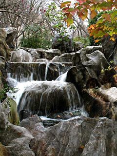 Chinese Garden - Sydney