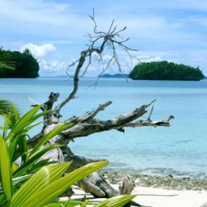 Rock Island in Palau