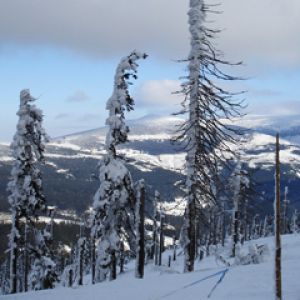 Krkonose - Mountains