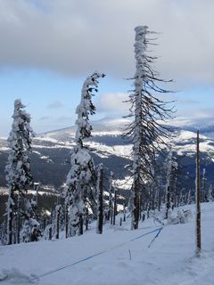 Krkonose - Mountains