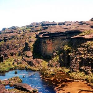 Roraima