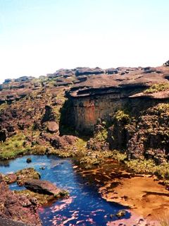 Roraima