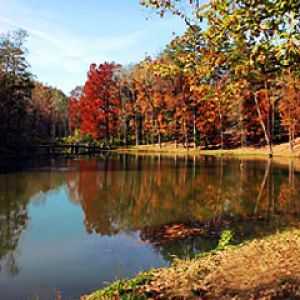 Arkansas